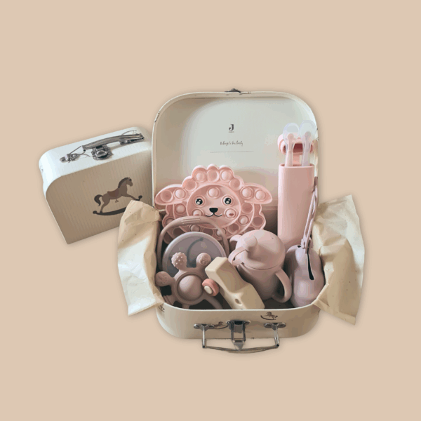 Kraamcadeau Eerste Reisje Roze Set